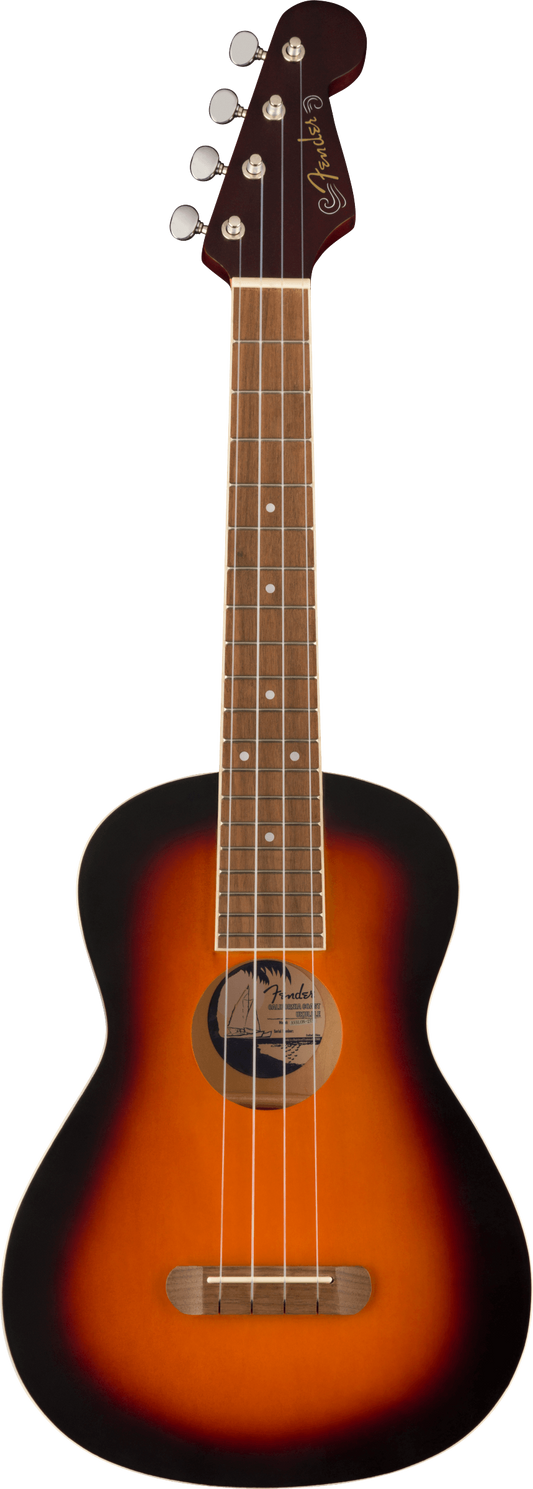 Fender Avalon - 2TS