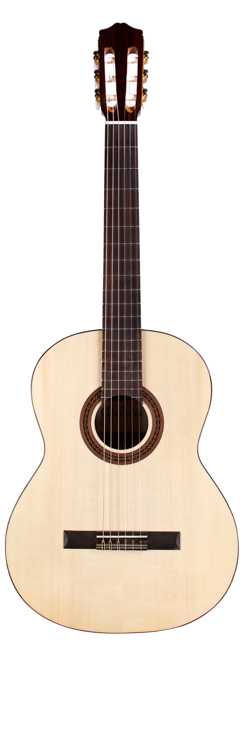 Cordoba C5 Spruce Top